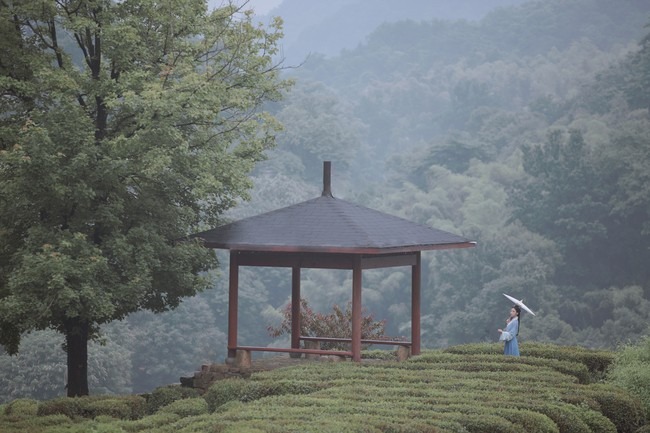 唯有山茶偏耐久，绿丛又放数枝红。