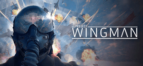 僚机计划/Project Wingman|官方简体中文|支持键盘.鼠标.手柄.VR