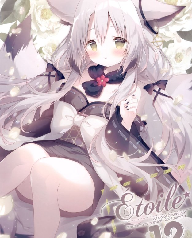 画师しらたま[しらたまこ]Étoile 12（Shiratama、白玉）画集图片包